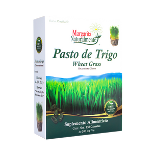 Pasto de Trigo