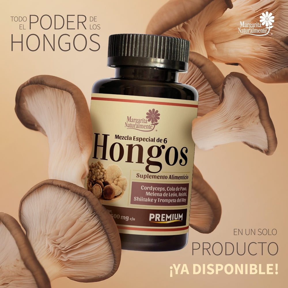 Mezcla Especial de 6 Hongos